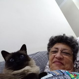 Sandra Augusta de Rezende