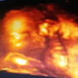 Francisca Renata Viana