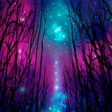 Priscila Sedassari de Souza