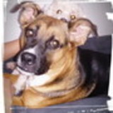 Sabrina Nogueira Quaresma