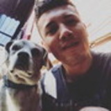 Cardoso Ticaracatica