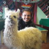 fabio mauricio vieira