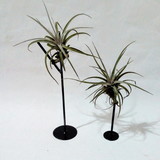 Ferraria Bons Tempos