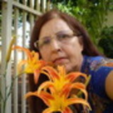Margarida Maria Rodrigues de Castro