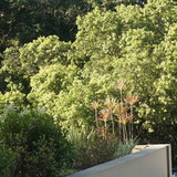 Eduardo Lohmann Cardoso