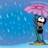 Vandelma Carneiro Pereira Martins