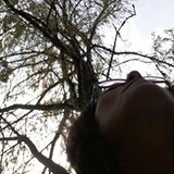 Luciane Persico Teixeira