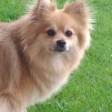 Adriana da Silva Franzao