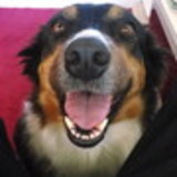 Rafael Nunes dos Santos