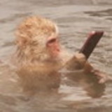 daniele cristine alvares