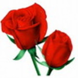 Patrícia Bissolatti Diirr