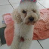 Paula Vanessa Barbosa