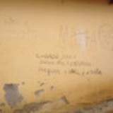 Marina Pombo de Oliveira