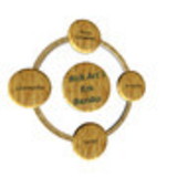 Ricardo Andrade da Silva