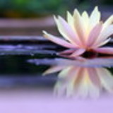 juliana vailant silva