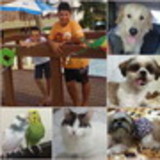 Thays Ferreira Polieri