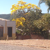 Sirlene Emiliana Soares