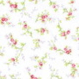 Mariliz Lopes da Silva