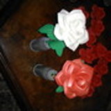 Izaneris Lopes da Silva