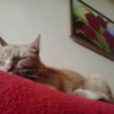 Ágatha Pâmela do Nascimento