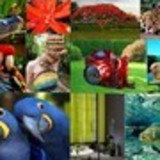 Glaucia Franca Labate