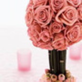 Francine Daiane Linhares dos Santos