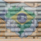 excluido_BRASIL_ARTESANATO