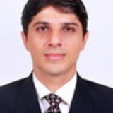 José Luiz C. R. de Castro