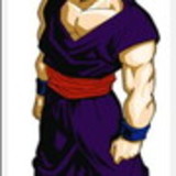 Vitor Augusto dos Santos Silva