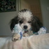 Tatiane Almeida Nascimento Lins