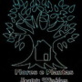 Flores e Plantas