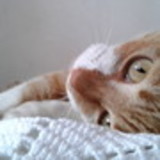 Michele Dutra Garcia