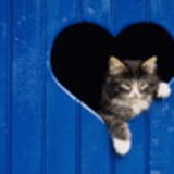 Graziella Patriny da Silva Costa