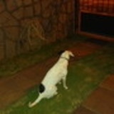 MARIA JOSE DE CAMPOS DE ALBUQUERQUE