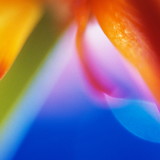 carolina reuter camargo helene