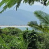 Sandra Elisa Gieseler