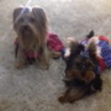 Adriana Fraga Chaves