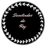 Suculindas da Ray