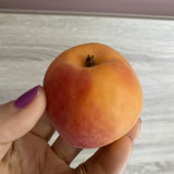 Maira cotrin mateus kimoto