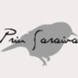 Priscila de Souza Saraiva