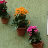 Decor Essencial Cortinas, Almofadas, Mesa Posta e afins