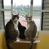 DENISE LOPES DE CARVALHO