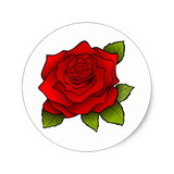 Sandrinny Lima da Rocha Menezes