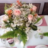 TANIA REGINA ZICARDI NARDINI