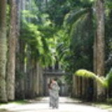 Karla Ferreira Bauab