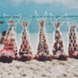 Carolina F. Segala Bressani