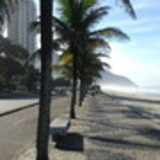 Amanda Fernandes Ribeiro