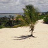 celeste maria torresSOUSA