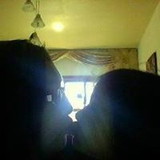 Claudenise Monteiro Silveira