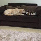 Danielle de godoy colaço